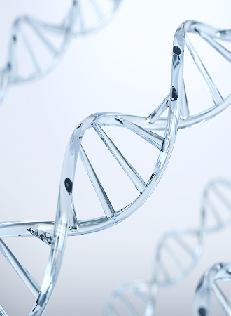 맞춤수액,고압산소센터